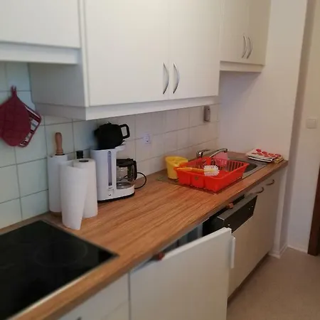 Wohlfuehl - Pichlarn Irdning Apartament